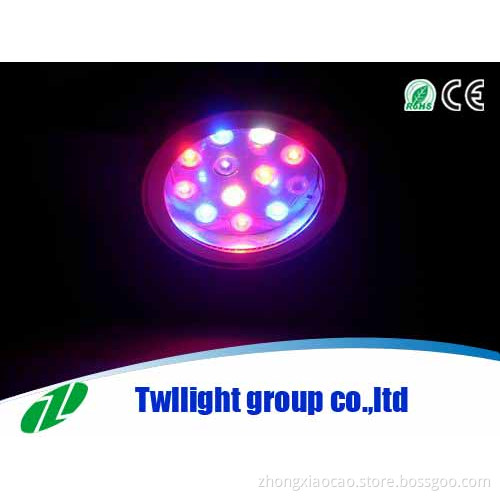 High Quality Led Par Light 12w